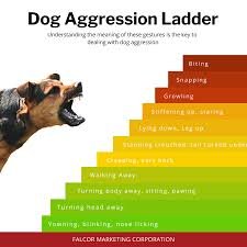 HOME aggressive dog ladder