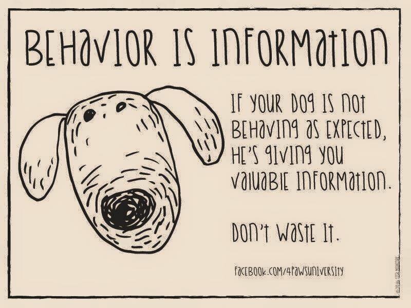 behavior is information