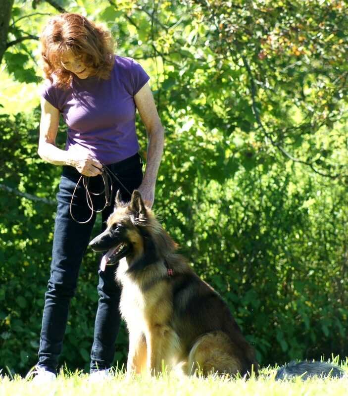 shepherdatsuzannes shepherdatsuzannes